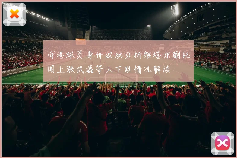 海港球员身价波动分析维塔尔蒯纪闻上涨武磊等人下跌情况解读